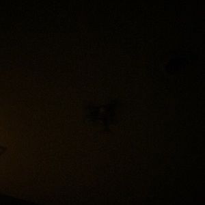 Meet your Posher, Gustavo